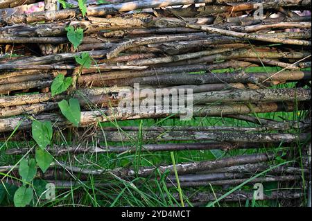 Alter Flechtzaun und grüner Kranz Stockfoto