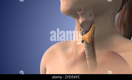 Die medizinische Animation des Schilddrüsenkarzinoms Stockfoto
