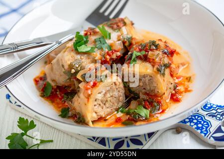 Kohlbrötchen mit Fleisch und Bulgur oder Reis. Stockfoto