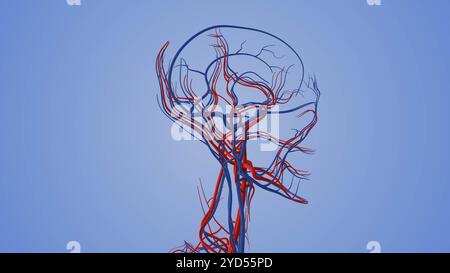 Medizinische Animation des Kreislaufsystems im menschlichen Kopf Stockfoto