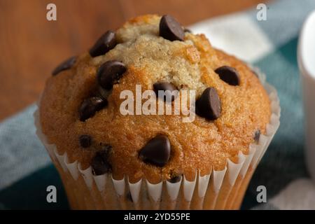 Schokoladen-Chips-Muffin aus der Nähe Stockfoto