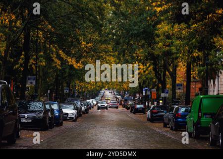 Magdeburg, Deutschland - Oktober 1,2024: Moody Scenic View Herbstliche altstadt Hegelstrasse Straße Moderne Autos bedeckt goldene gelbe gefallene Blätter geparkt Stockfoto