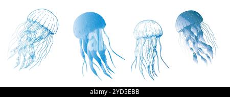 Vektor schöne Quallen. Handgemalte Skizze. Grafik-Clips isoliert auf Hintergrund. Unterwasser-Illustration. Für Designer, Einladungen Stock Vektor