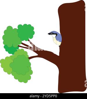 Niedlicher blauer Vogel Nuthatch sitzt in einer Baumhöhle im Sommer, Stock Vektor, Cartoon Stock Vektor