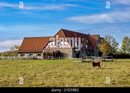 Das Dorf und Gestüt Altefeld in Hessen Stockfoto