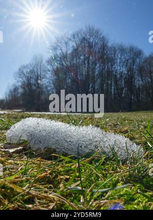 Die Frühlingssonne schmilzt den Schnee, der Beginn des Frühlings Stockfoto