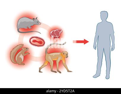 Tierisch-menschliche Ubertragung des Mpox-Virus. Stockfoto