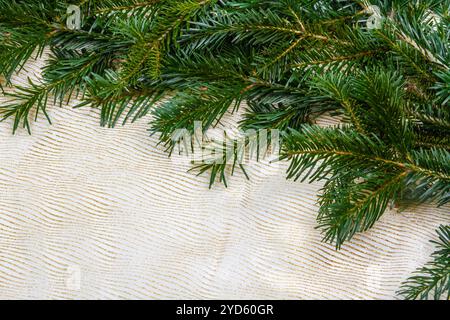 Weihnachtsrand. Feiertagshintergrund. Eine Grenze aus grünen Nadelzweigen Stockfoto
