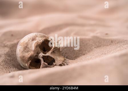 Menschlicher Schädel Im Sand Stockfoto