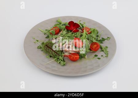 Salat mit Rinderzunge, Gemüse und Gemüse auf einer grauen Platte auf weißem Hintergrund. Stockfoto