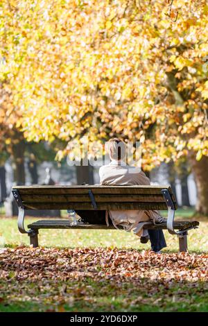 Hamburg, Deutschland. Oktober 2024. Ein Mann sitzt auf einer Bank auf der Moorwiese im warmen Herbstlicht. Quelle: Markus Scholz/dpa/Alamy Live News Stockfoto