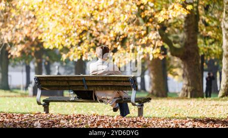 Hamburg, Deutschland. Oktober 2024. Ein Mann sitzt auf einer Bank auf der Moorwiese im warmen Herbstlicht. Quelle: Markus Scholz/dpa/Alamy Live News Stockfoto