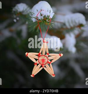 Wunderschöne natürliche Weihnachtsdekoration aus Stroh auf einem verschneiten Weihnachtsbaum. Winter Natur bunter Outdoor Hintergrund für t Stockfoto