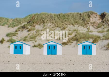 Strandhütten in Regenbogenfarben säumen die Sandküste auf Texel, Niederlande, unter einem klaren blauen Himmel Stockfoto