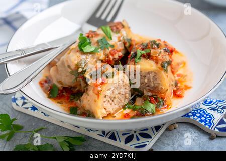 Kohlbrötchen mit Fleisch und Bulgur oder Reis. Stockfoto