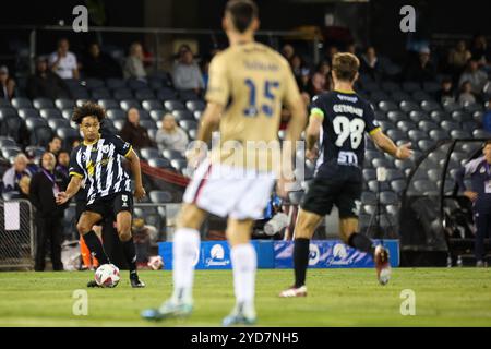 25. Oktober 2024; Campbelltown Stadium, Sydney, NSW, Australien: A-League Football, MacArthur FC gegen Newcastle Jets; Kealy Adamson vom Macarthur FC führt den Ball durch das Mittelfeld Stockfoto