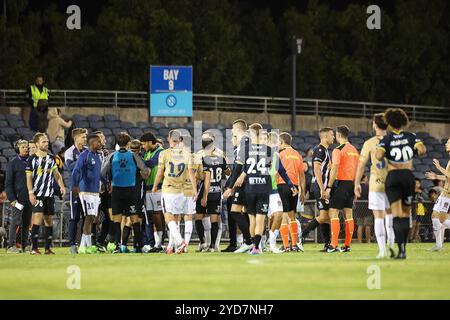 25. Oktober 2024; Campbelltown Stadium, Sydney, NSW, Australien: A-League Football, MacArthur FC gegen Newcastle Jets; Macarthur FC und Newcastle Jets Spieler nach dem Spiel Stockfoto