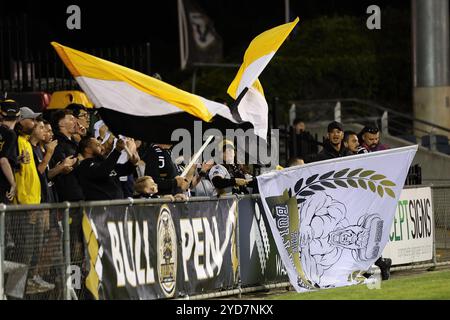 25. Oktober 2024; Campbelltown Stadium, Sydney, NSW, Australien: A-League Football, MacArthur FC gegen Newcastle Jets; Fans des Macarthur FC zeigen ihre Unterstützung Stockfoto