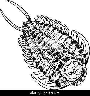 Trilobit – handgezeichnete Illustration eines ausgestorbenen Arthropoden | realistisch, in Schwarz und weiß gehalten, inspiriert von Vintage-Stilen Stockfoto