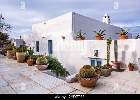Topfkaktus am Eingang zum renovierten historischen Haus auf der Insel Tinos in Griechenland Stockfoto