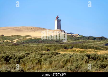 Die Landschaft und der Leuchtturm von Rubjerg Knude in Dänemark an der Nordseeküste Stockfoto