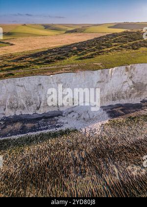 Eine große Kreidefelse fällt am Strand zwischen Birling Gap und Beachy Head. Eine von zwei Klippen stürzt in den South Downs ein Stockfoto