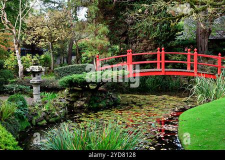 Rote Brücke, rote japanische Brücke, rote hölzerne Brücke, rote hölzerne Brücke im japanischen Garten, Acer, Acers, japanische Acers, Herbstfarben, Herbstfarbe, Herbstkolo Stockfoto