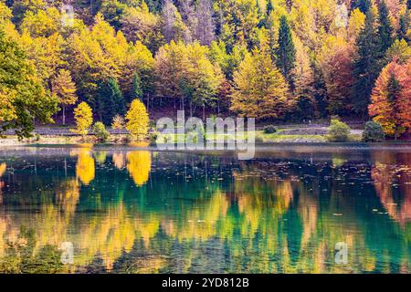 Die Farben der Herbstwälder spiegeln sich im eisigen Wasser des Sees wider. Berge bedeckt mit Morgennebel. Malerischer Lago Fusine in Italien. Sunr Stockfoto