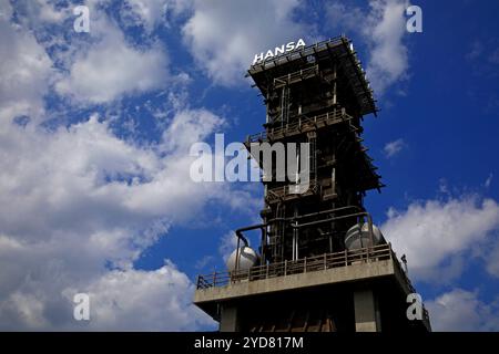 Loesch-Turm mit Schriftzug, Wahrzeichen, Kokrerei Hansa, Dortmund, Ruhrgebiet, Deutschland, Europa Stockfoto