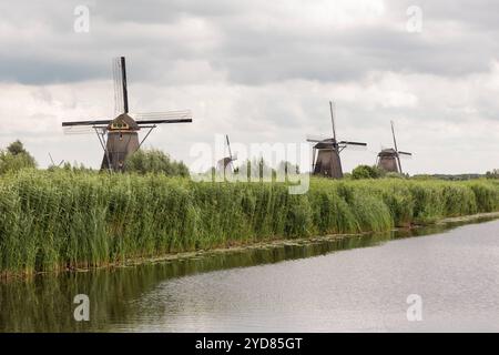 Windmühle am Ufer der Niederlande. Windmühle am Ufer der Niederlande. Schilfgras und der Fluss im Vordergrund. niederlande kinderdijk B97A7656 Stockfoto