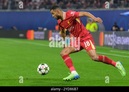 Leipzig, Deutschland. Oktober 2024. Deutschland, Sachsen, Leipzig, Champions League RB Leipzig gegen FC Liverpool, CHL, UCL, Spieltag, Saison 2024/2025, RB Arena, f.l. im Bild: Cody Gakpo (FC Liverpool - #09), 23.10.2024, Credit: HMB Media/Alamy Live News Stockfoto