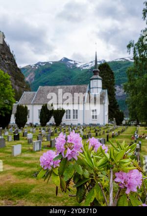 Der norwegische Kirchhof blüht im Frühling Valldal Norwegen Stockfoto