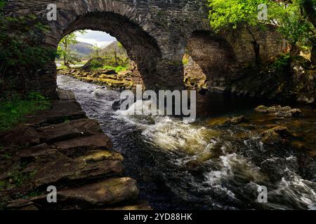 Steinbrücke, Steinbögen, Steinbogenbrücke, rauschendes Wasser am Meeting of the Waters, Old Weir Bridge am Meeting of the Waters, Killarney National Stockfoto