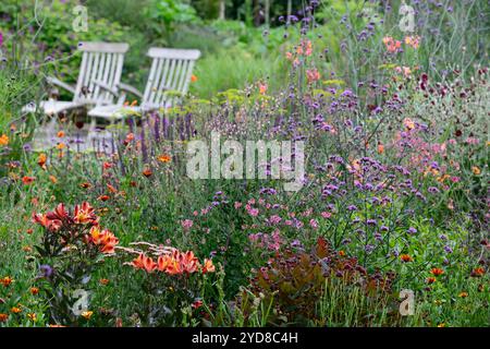 Alstroemeria Indian Summer, Verbena bonariensis, Hypericum Miracle Night, Diascia Personata, gemischte Pflanzblumenkombination, Blume und Laub combinat Stockfoto