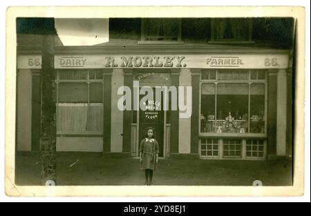 Postkarte aus der Zeit des 1. Weltkriegs mit einem kleinen Mädchen, das draußen in einem Ladeneingang stand. R Morley, Dairy Farmer ist das Zeichen des Ladens. Die Molkereien waren 86 Richmond Road, Kingston, Surrey. Auf dem Schaufensterschild steht Nevill's Bread. Circa 1913, Großbritannien Stockfoto