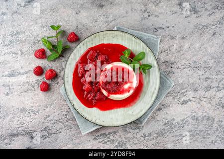 Traditionelles Quark-Mousse mit Rhabarber und Himbeerkompott diente als Blick von oben auf einem nordischen Design-Teller Stockfoto