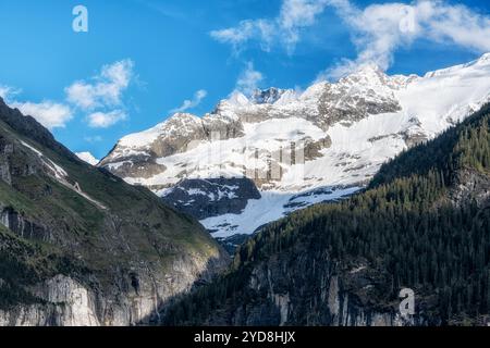 Berner alpen von Grindelwald aus gesehen Stockfoto