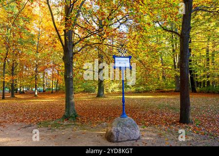 Herbst in Brandenburg DEU/Deutschland/Brandneburg/Cottbus/Branitz, 25.10.2024, Herbst im Fuerst-Pueckler Park Branitz Branitzer Park in Cottbus. *** Herbst in Brandenburg DEU Deutschland Brandneburg Cottbus Branitz, 25 10 2024, Herbst im Ersten Pueckler Park Branitz Branitzer Park in Cottbus AF NetZero 46508 Stockfoto