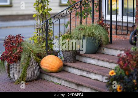 Bunter Kürbis und Blumen auf der Treppe eines alten Hauses. Stufen mit Kürbis und dekorativen Pflanzen für Herbstthemen. Stockfoto