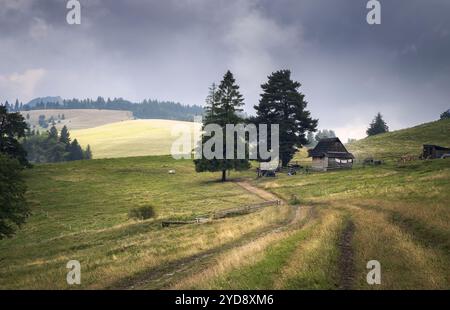 Ein gewundener Pfad führt durch üppige Wiesen zu rustikalen Holzbauten unter einem stimmungsvollen Himmel im Tatra-Nationalpark, Polen Stockfoto