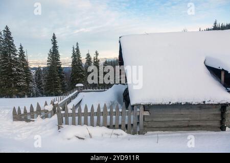 Ein rustikaler Rückzugsort: Eine gemütliche Winterhütte in einem verschneiten Wald, umgeben von schneebedeckten Bäumen. Stockfoto