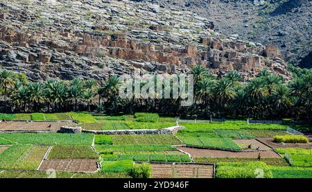 Verlassene Dorfruinen von Riwaygh as-Safil, Valley Nekrose, Oman Stockfoto