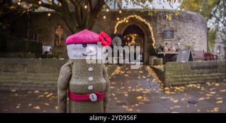 Ripon, North Yorkshire, Vereinigtes Königreich. Gestrickte Pollerabdeckung für die Veranstaltung zum Gedenktag in der Stadt. Gefangene Lichtfotografie/Alamy News. Stockfoto