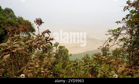 Malerische Landschaft am ngorongoro-Krater in tansania Stockfoto