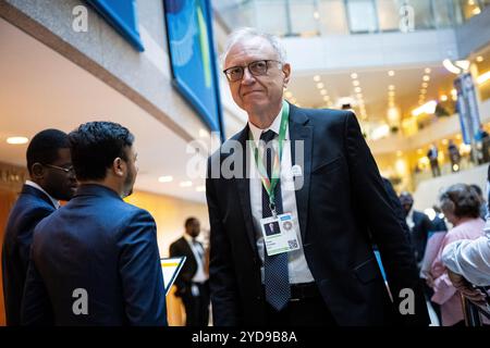 Washington, USA. Oktober 2024. Der stellvertretende Gouverneur der brasilianischen Zentralbank für internationale Angelegenheiten und Risikomanagement Paulo Picchetti trifft am Freitag, den 25. Oktober, vor der Plenartagung des Internationalen Währungs- und Finanzausschusses (IMFC) während der laufenden Jahrestagung des Internationalen Währungsfonds und der Weltbankgruppe 2024 in Washington, DC, ein. 2024. (Graeme Sloan/SIPA USA) Credit: SIPA USA/Alamy Live News Stockfoto