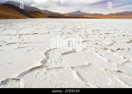 Salzkruste am Ufer der Lagune und salt lake Tuyajto, Anden Altiplano (Hochebene), Los Flamencos National Reserve, Atacama-wüste, Antofagasta Stockfoto