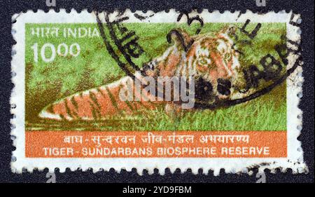 Gestempelte Briefmarke, gedruckt von Indien, die Tiger (Panthera tigris) - Sundarban Reserve zeigt, um 2000. Stockfoto