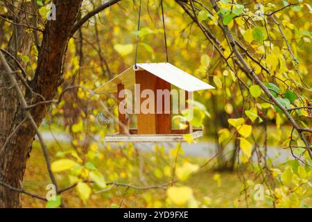 Eingebettet in die Äste eines Baumes, zieht ein gemütliches hölzernes Vogelhaus mit seinem rustikalen Charme, umgeben von atemberaubenden Gelb- und Orangen von Aut die Aufmerksamkeit auf sich Stockfoto