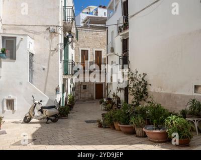 Eine enge Straße in einer kleinen italienischen Stadt. Steinpflaster, helle Gebäude, Blumentöpfe und ein Roller. Sommer, sonnig. Stockfoto