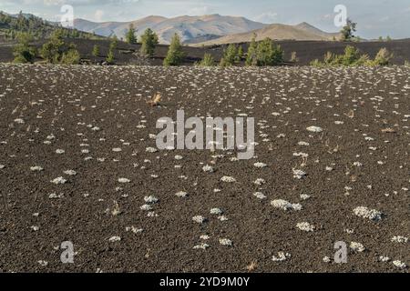 USA; Idaho, Arco, Great Basin, Craters of the Moon National Monument, Stockfoto